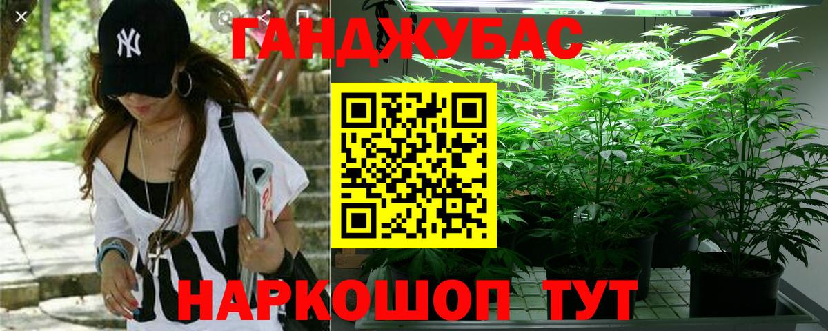 Бошки марихуана марихуана Железноводск